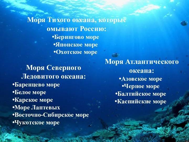 Моря Атлантического океана: Азовское море Черное море Балтийское море Каспийские море
