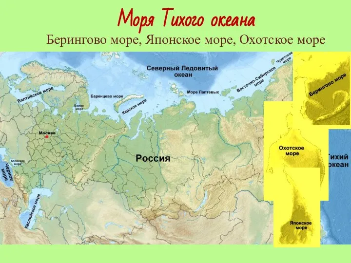 Моря Тихого океана Берингово море, Японское море, Охотское море