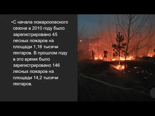 С начала пожароопасного сезона в 2010 году было зарегистрировано 45 лесных