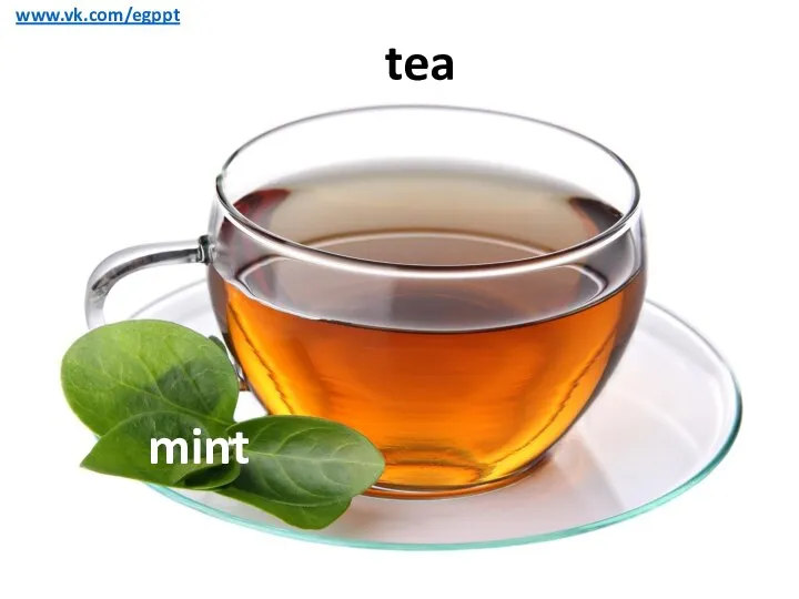 tea www.vk.com/egppt mint