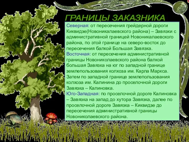 ГРАНИЦЫ ЗАКАЗНИКА Северная: от пересечения грейдерной дороги Киквидзе(Новоникалаевского района) – Завязки