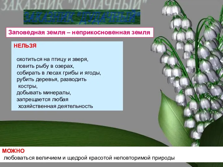 ЗАКАЗНИК "ДУДАЧНЫЙ" Заповедная земля – неприкосновенная земля НЕЛЬЗЯ охотиться на птицу