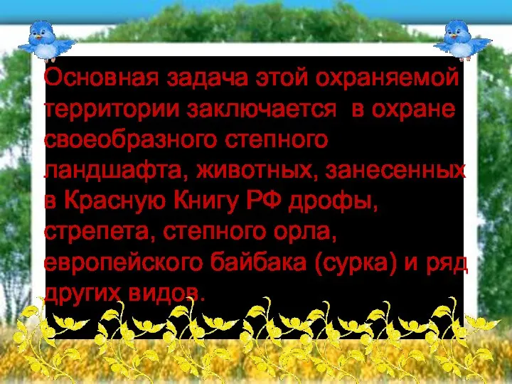 Основная задача этой охраняемой территории заключается в охране своеобразного степного ландшафта,