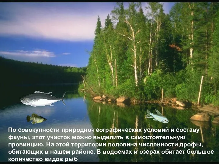 По совокупности природно-географических условий и составу фауны, этот участок можно выделить