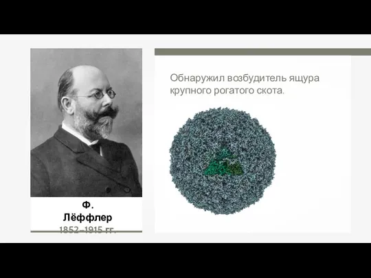 Ф. Лёффлер 1852–1915 гг. Обнаружил возбудитель ящура крупного рогатого скота.