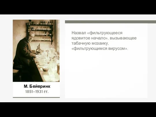 М. Бейеринк 1851–1931 гг. Назвал «фильтрующееся ядовитое начало», вызывающее табачную мозаику, «фильтрующимся вирусом».