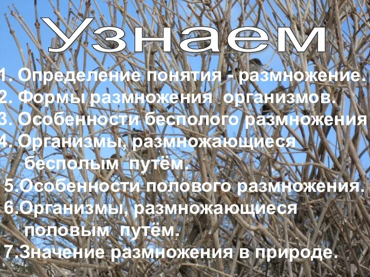 Узнаем Определение понятия - размножение. Формы размножения организмов. Особенности бесполого размножения