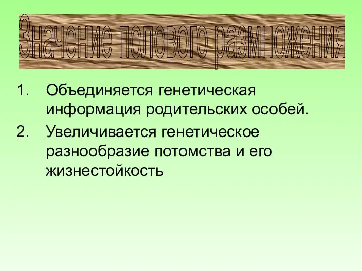 Значение полового размножения Объединяется генетическая информация родительских особей. Увеличивается генетическое разнообразие потомства и его жизнестойкость