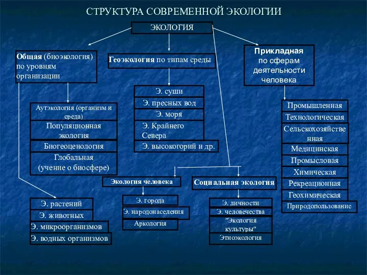 СТРУКТУРА СОВРЕМЕННОЙ ЭКОЛОГИИ ЭКОЛОГИЯ Общая (биоэкология) по уровням организации Геоэкология по