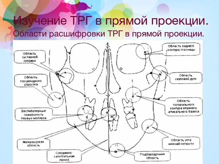 Изучение ТРГ в прямой проекции. Области расшифровки ТРГ в прямой проекции.