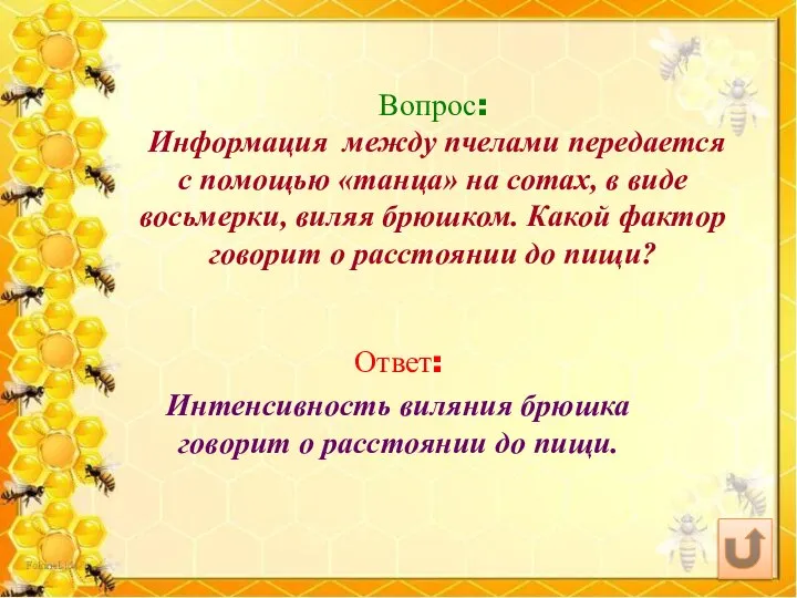 Вопрос: Информация между пчелами передается с помощью «танца» на сотах, в