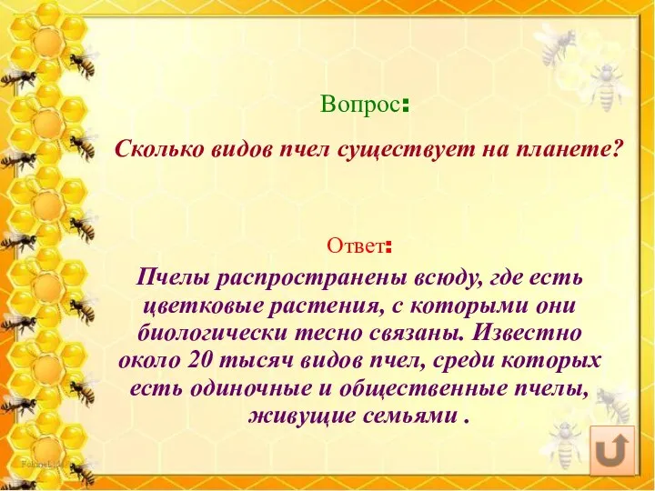 Вопрос: Сколько видов пчел существует на планете? Ответ: Пчелы распространены всюду,