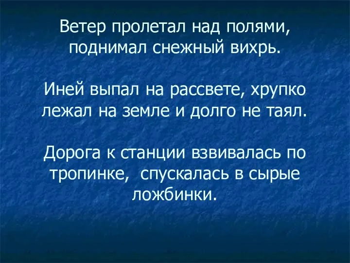 Ветер пролетал над полями, поднимал снежный вихрь. Иней выпал на рассвете,