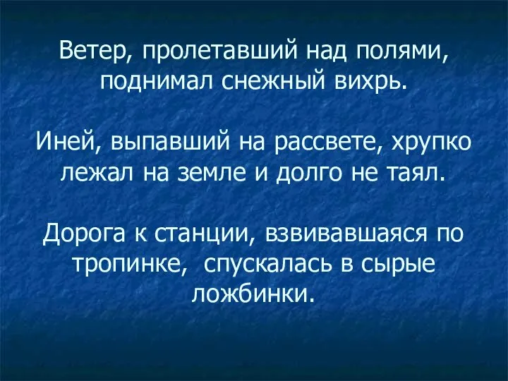 Ветер, пролетавший над полями, поднимал снежный вихрь. Иней, выпавший на рассвете,