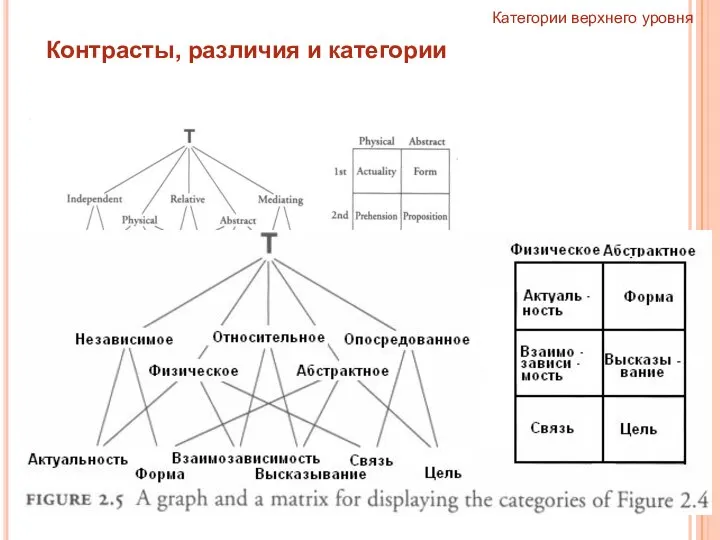 Категории верхнего уровня Контрасты, различия и категории