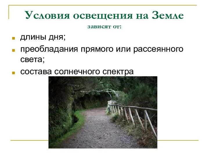 Условия освещения на Земле зависят от: длины дня; преобладания прямого или рассеянного света; состава солнечного спектра