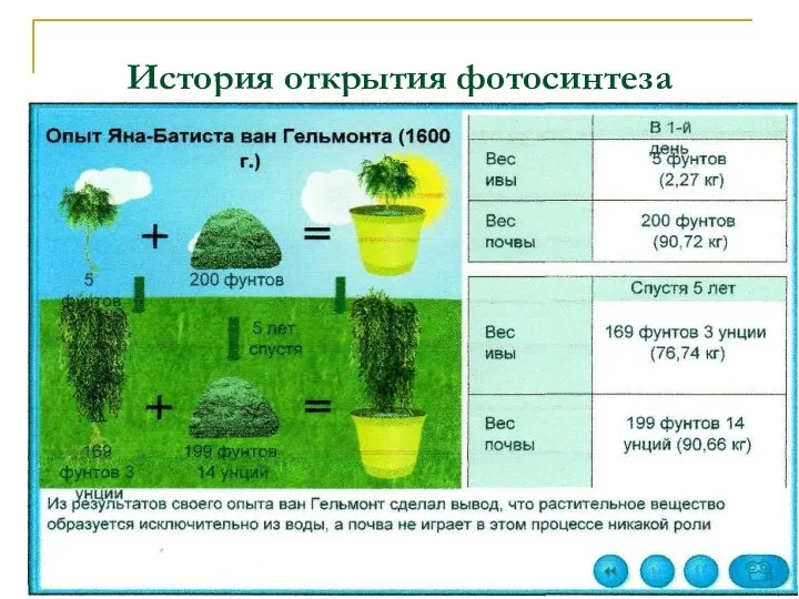 История открытия фотосинтеза