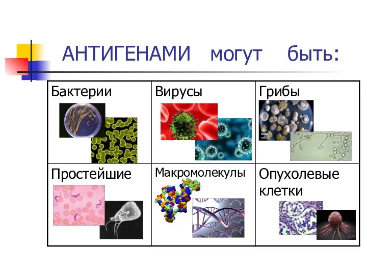 АНТИГЕНАМИ могут быть: