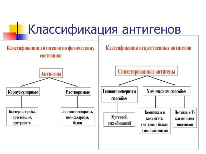 Классификация антигенов