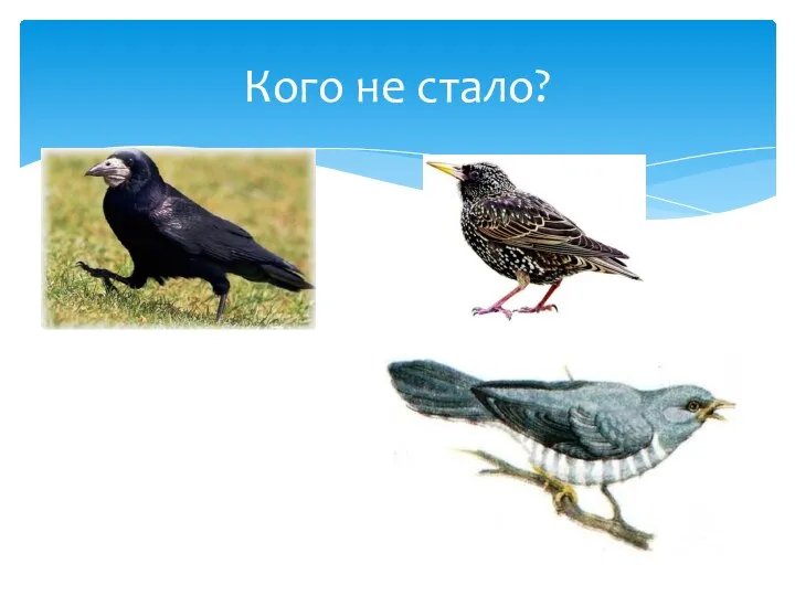 Кого не стало?