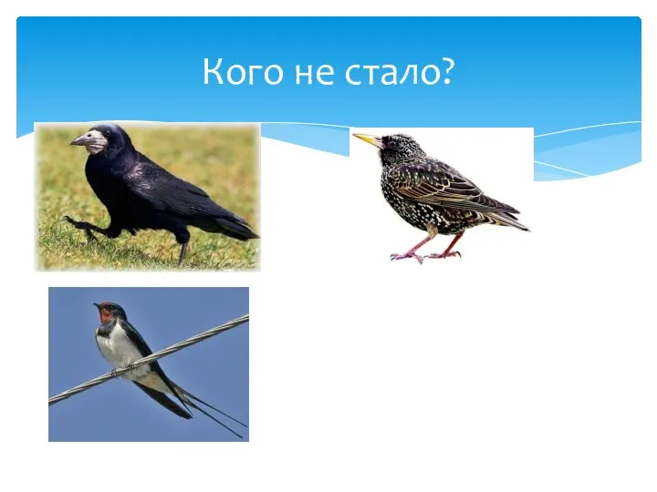 Кого не стало?