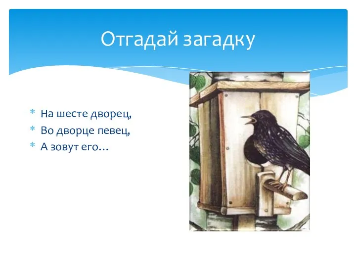 Отгадай загадку На шесте дворец, Во дворце певец, А зовут его…