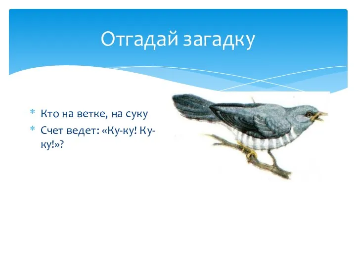 Отгадай загадку Кто на ветке, на суку Счет ведет: «Ку-ку! Ку-ку!»?