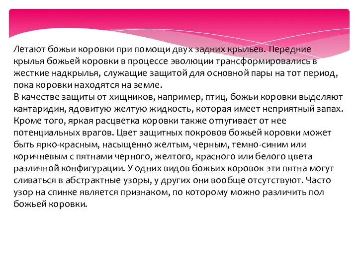 Летают божьи коровки при помощи двух задних крыльев. Передние крылья божьей