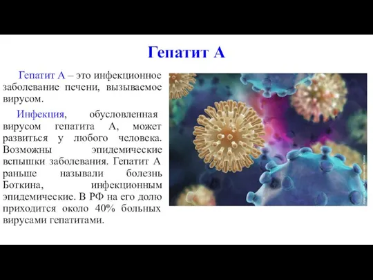 Гепатит А Гепатит А – это инфекционное заболевание печени, вызываемое вирусом.