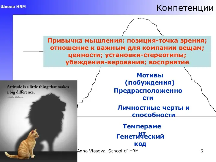 Anna Vlasova, School of HRM Компетенции Привычка мышления: позиция-точка зрения; отношение