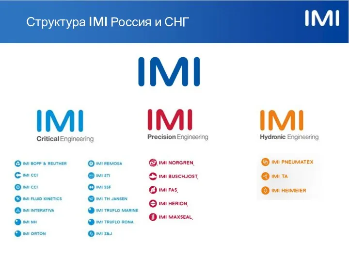 Структура IMI Россия и СНГ