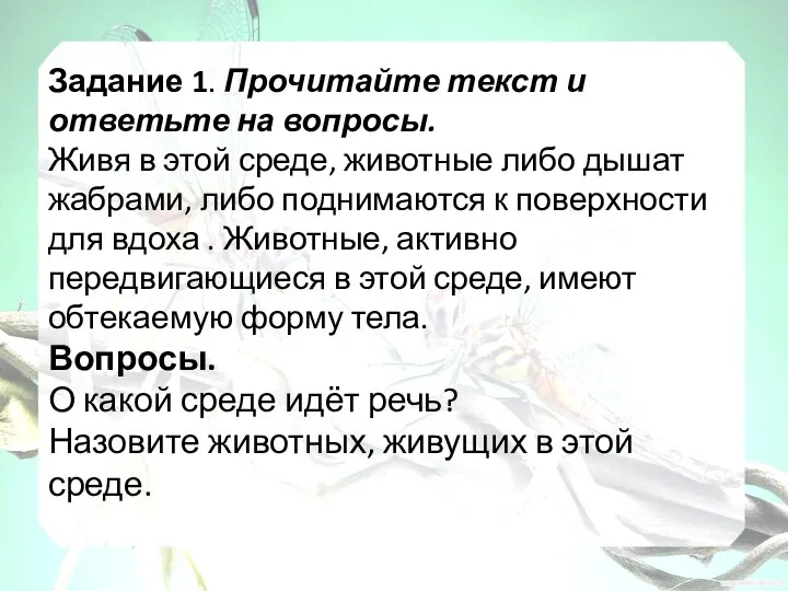 Задание 1. Прочитайте текст и ответьте на вопросы. Живя в этой