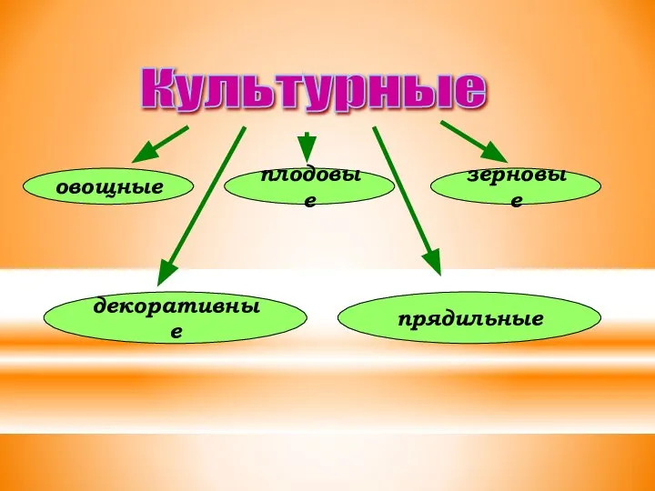 Культурные овощные плодовые декоративные зерновые прядильные