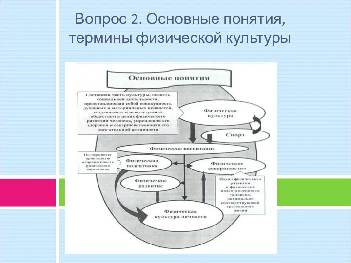 Вопрос 2. Основные понятия, термины физической культуры