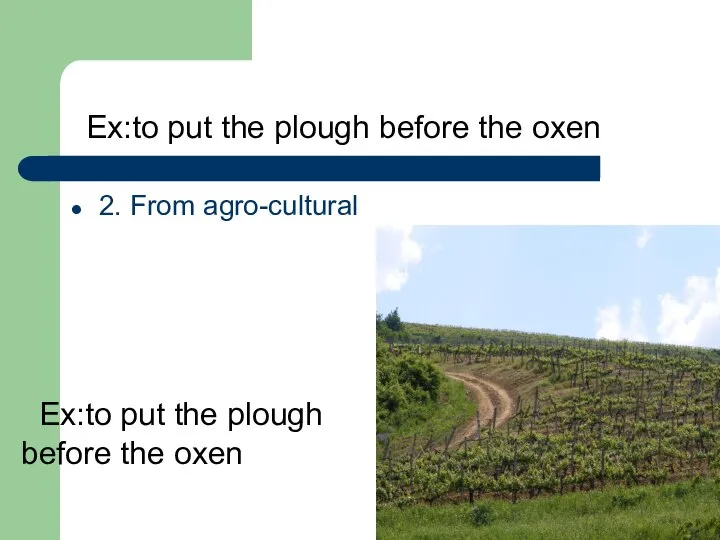 Ex:to put the plough before the oxen 2. From agro-cultural Ex:to