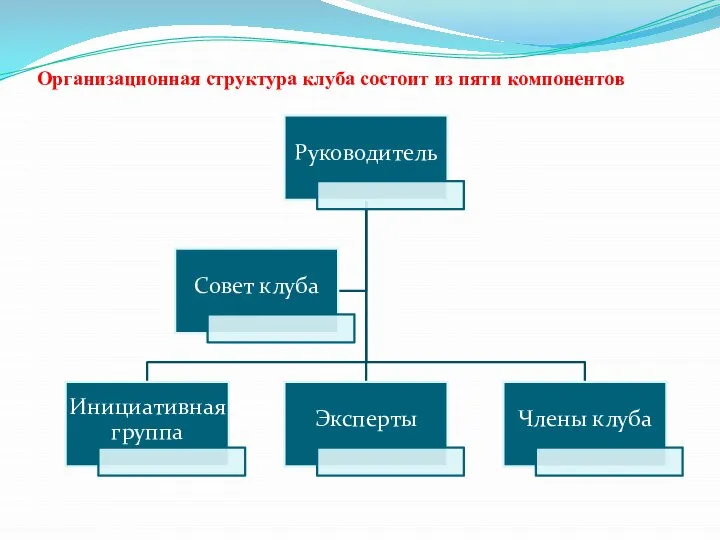 Организационная структура клуба состоит из пяти компонентов