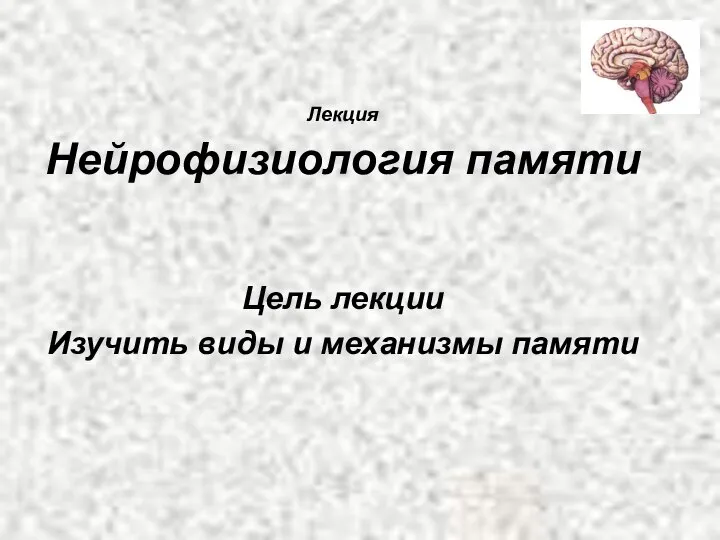 Лекция Нейрофизиология памяти Цель лекции Изучить виды и механизмы памяти