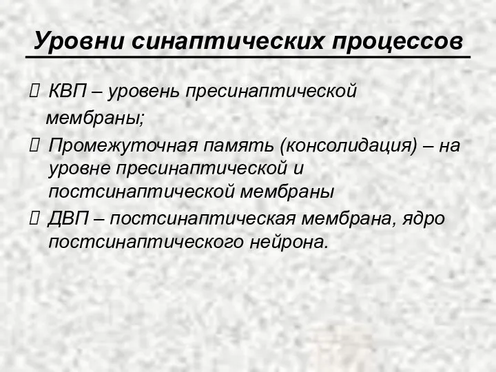 Уровни синаптических процессов КВП – уровень пресинаптической мембраны; Промежуточная память (консолидация)