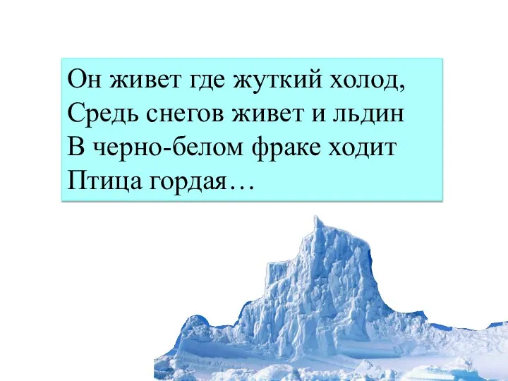 Он живет где жуткий холод, Средь снегов живет и льдин В черно-белом фраке ходит Птица гордая…