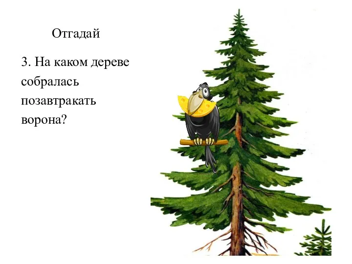 Отгадай 3. На каком дереве собралась позавтракать ворона?