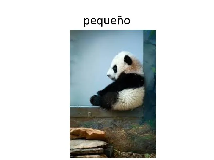 pequeño