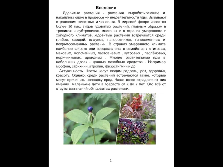 Введение Ядовитые растения - растения, вырабатывающие и накапливающие в процессе жизнедеятельности