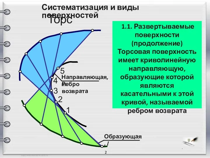 Систематизация и виды поверхностей 2 1.1. Развертываемые поверхности (продолжение) Торсовая поверхность