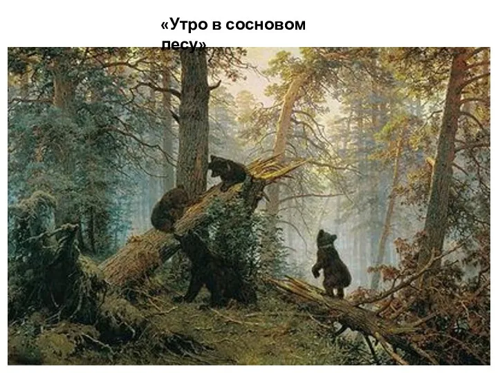 «Утро в сосновом лесу»