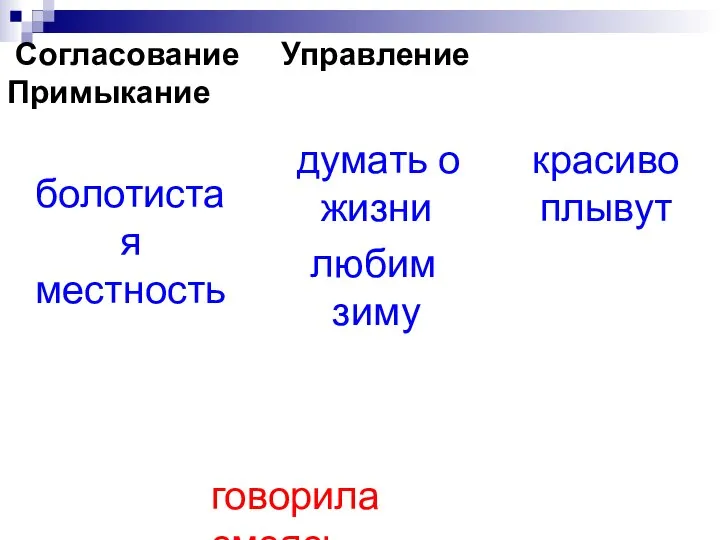 Согласование Управление Примыкание болотистая местность думать о жизни любим зиму красиво плывут говорила смеясь