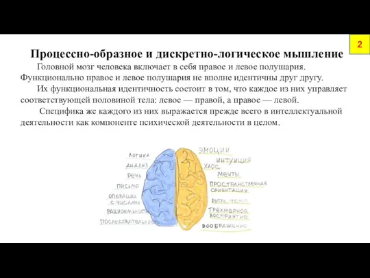 2 Процессно-образное и дискретно-логическое мышление Головной мозг человека включает в себя