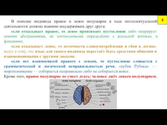 4 В психике индивида правое и левое полушарие в ходе интеллектуальной