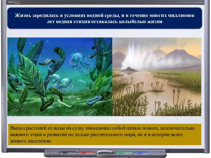 Жизнь зародилась в условиях водной среды, и в течение многих миллионов