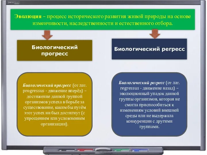 Эволюция – процесс исторического развития живой природы на основе изменчивости, наследственности