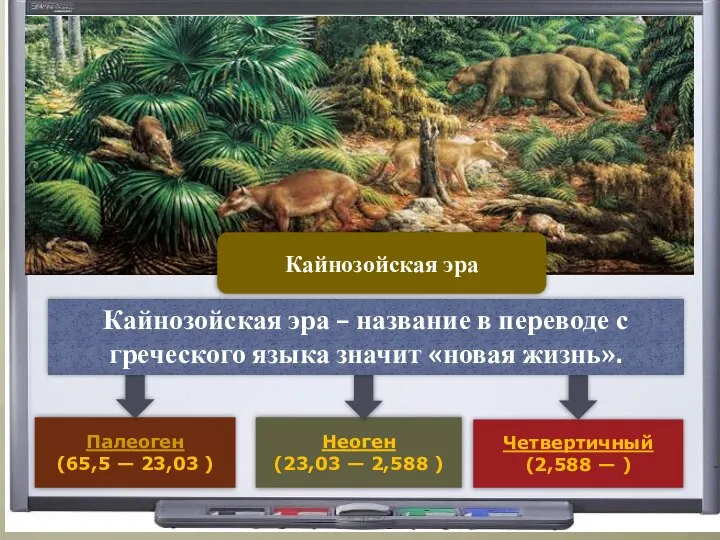 Палеоген (65,5 — 23,03 ) Неоген (23,03 — 2,588 ) Кайнозойская